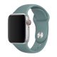 Apple Watch kaktusz szilikon szíj 38/40/41/42MM (Series 10 2024) M/L